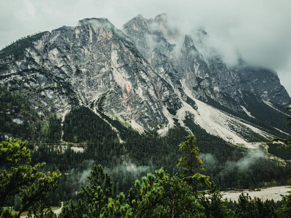 Où pratiquer le snorkeling au milieu des raies manta à Hawaii ?