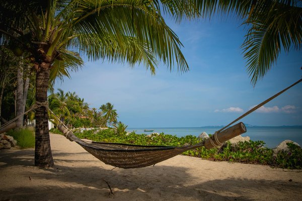 Quels sont les meilleurs itinéraires pour une randonnée sur le sentier des Appalaches aux États-Unis?